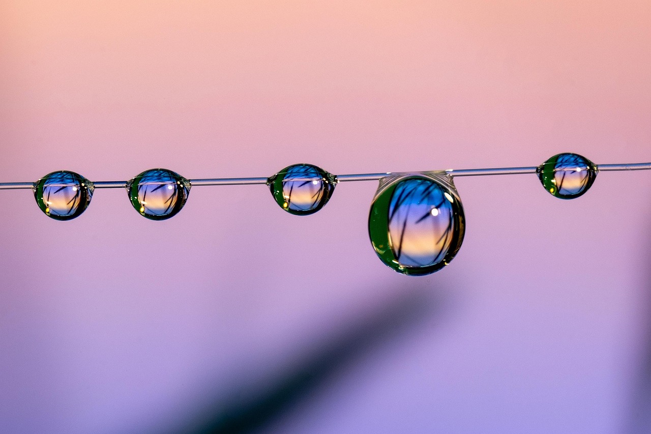 支付宝小号买卖:正版伴奏购买平台