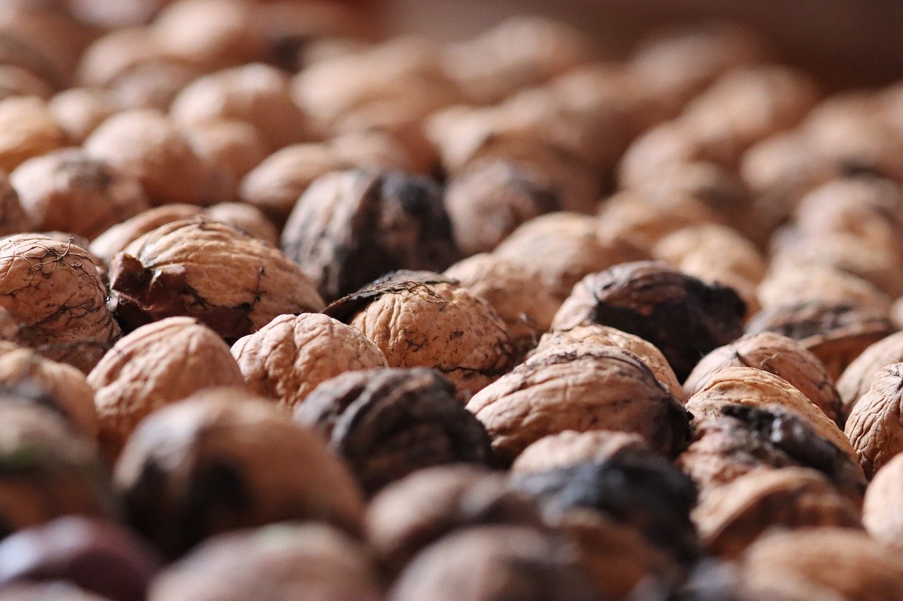 越南555银：广西崇左代理注册