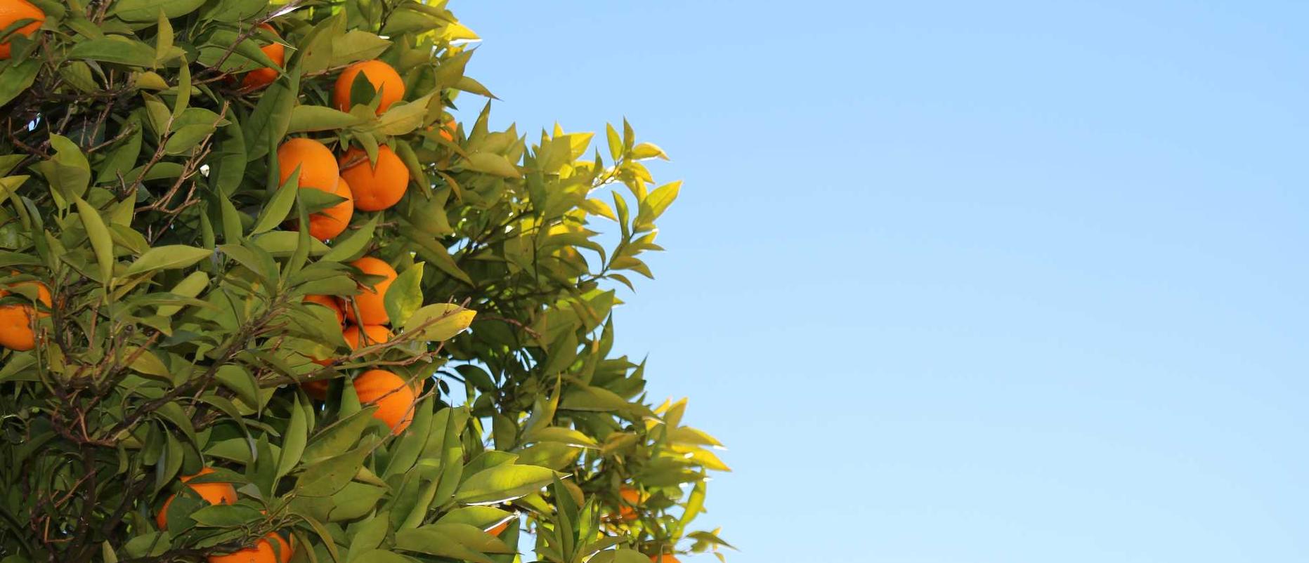 友盟实名账号：qq网页版注册账号