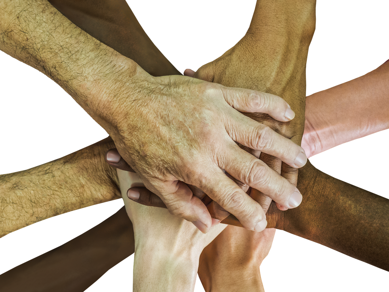 红MU摇摇水蜜桃爆珠:建筑公司转让代理平台网站