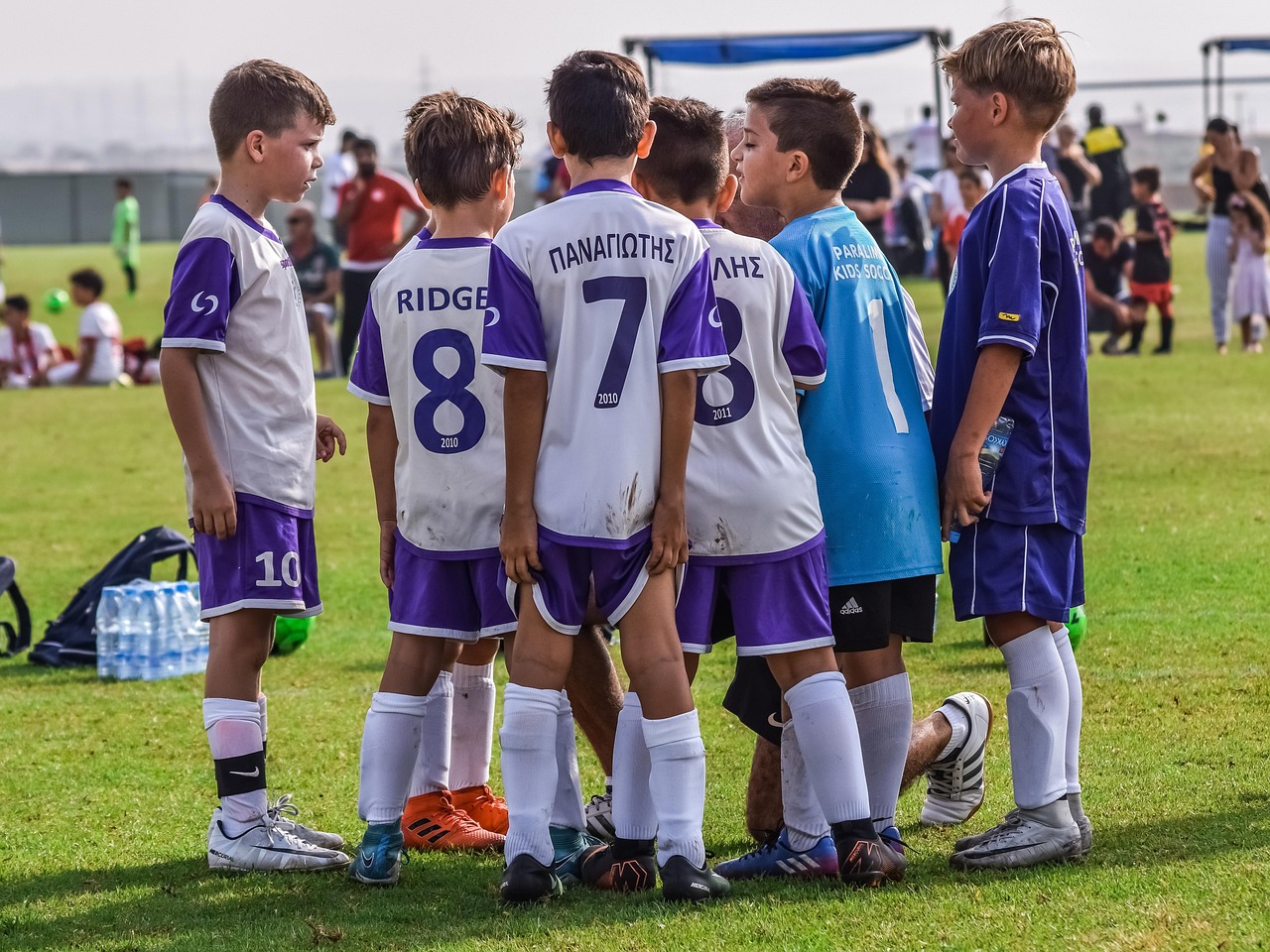 卓博人才网app详情下载教程