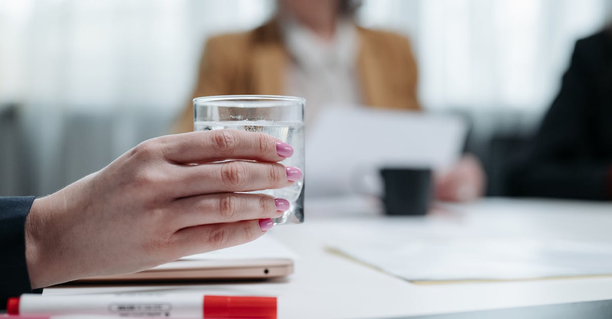 免费攻击网站|飞速动漫app详情下载教程