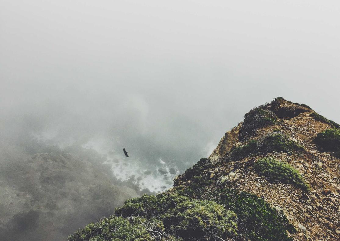 DDOS压力测试|飘花电影APP免费详情下载教程