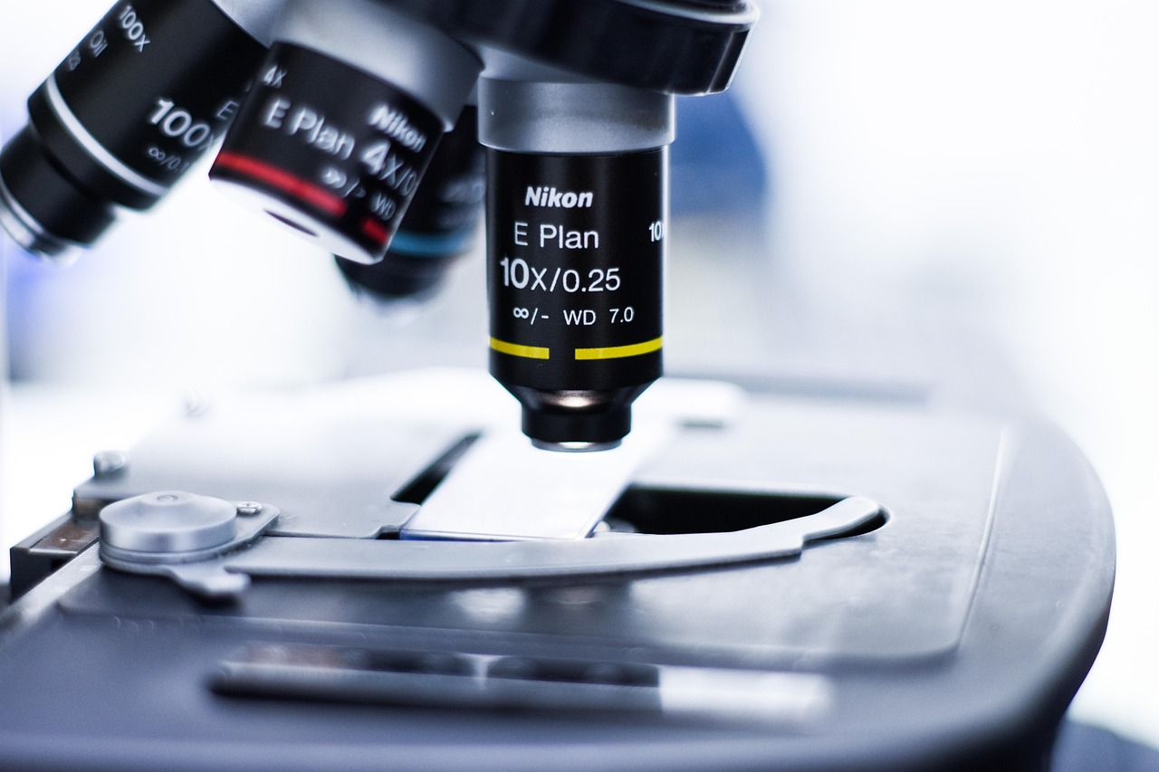 爱喜橙子双爆：华夏平台开户